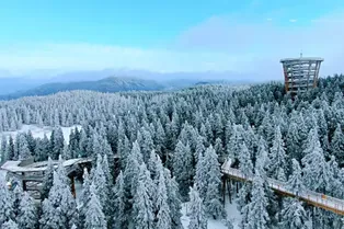 Fairy Mountain National Forest Park