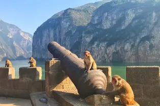 Baidicheng (Baidi City) - Chongqing Tourist Attraction