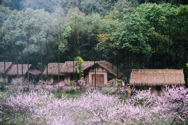 Youyang Taohuayuan - Chongqing Tourist Attraction