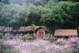 Youyang Taohuayuan - Chongqing Tourist Attraction