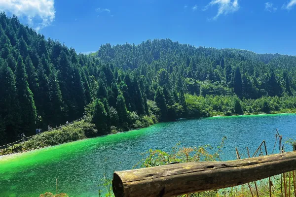 Wuling Mountain National Forest Park - Chongqing Tourist Attraction