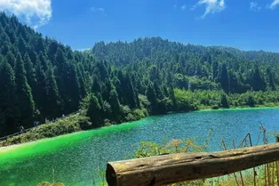 Wuling Mountain National Forest Park - Chongqing Tourist Attraction
