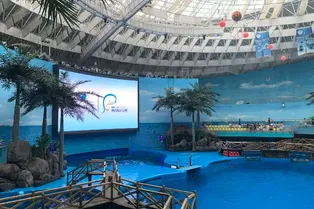 Chengdu Polar Ocean Park - Sichuan Tourist Attraction