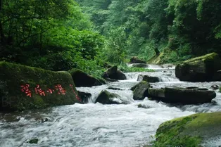 Bifengxia - Sichuan Tourist Attraction