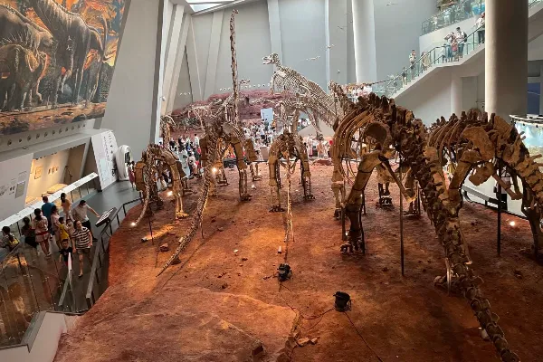 Zigong Dinosaur Museum - Sichuan Tourist Attraction