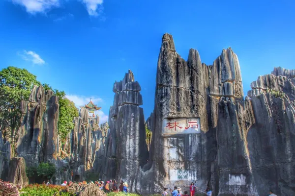 Stone Forest Scenic Area - Yunnan Tourist Attraction