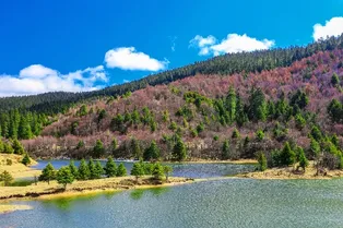 Potatso National Park - Yunnan Tourist Attraction