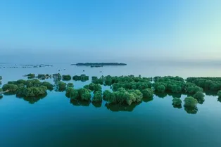 Dongting Lake - Hunan Tourist Attraction