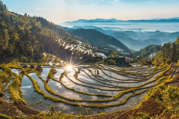 Ziquejie Terraces - Hunan Tourist Attraction