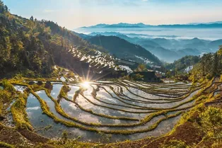 Ziquejie Terraces - Hunan Tourist Attraction