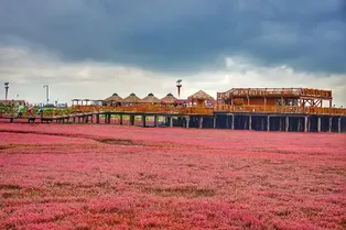 Honghaitan (Red Beach) Scenic Corridor - Liaoning Tourist Attraction