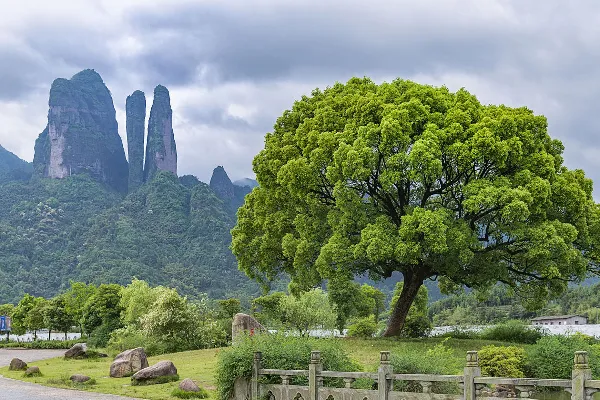 Jianglang Mountain and Nianbadu Tourist Area - Zhejiang Tourist Attraction