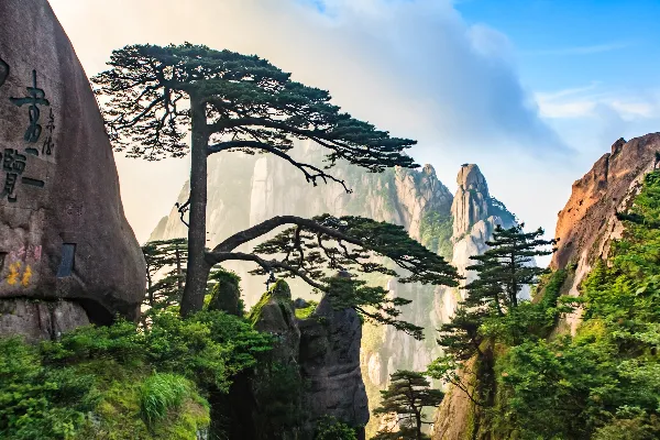 Huangshan Scenic Area - Anhui Tourist Attraction