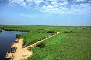Yellow River Estuary Ecological Tourism Area in Dongying - Shandong Tourist Attraction