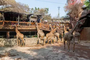 Changlu Tourist and Leisure Expo Park in Foshan - Guangdong Tourist Attraction