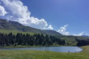 Tangbula Scenic Area - Xinjiang Tourist Attraction