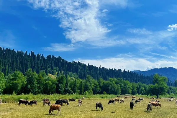 Kuerdening Scenic Area - Xinjiang Tourist Attraction