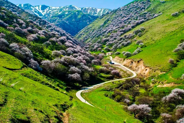 Wild Walnut Gully Scenic Area - Xinjiang Tourist Attraction