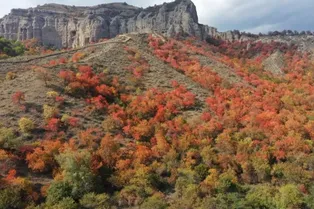 Zhonghua Fushoushan Scenic Area - Xinjiang Tourist Attraction
