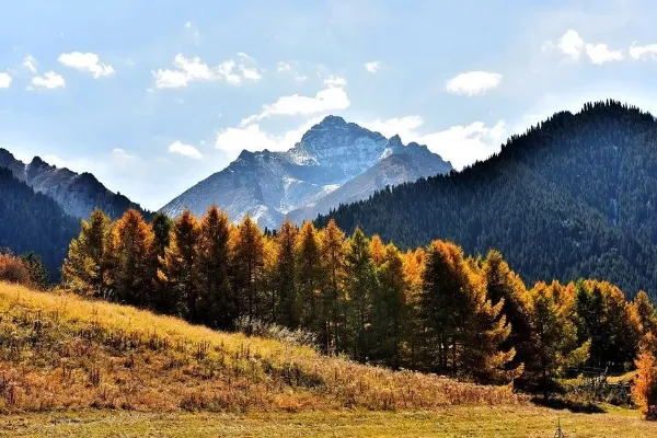 Wusu Foshan National Forest Park - Xinjiang Tourist Attraction