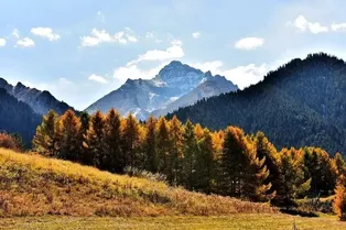 Wusu Foshan National Forest Park - Xinjiang Tourist Attraction