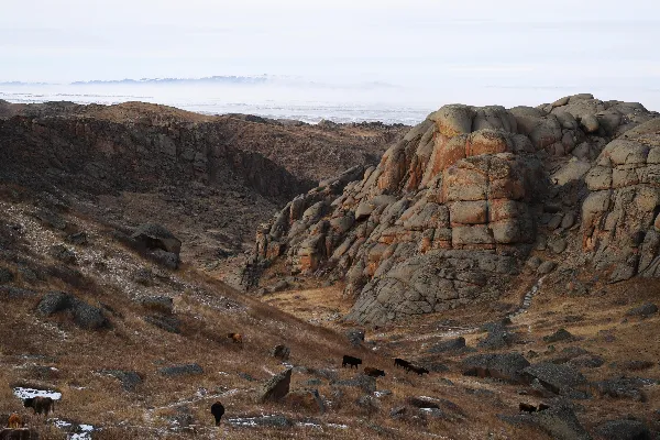 Grassland Stone City Scenic Area - Xinjiang Tourist Attraction
