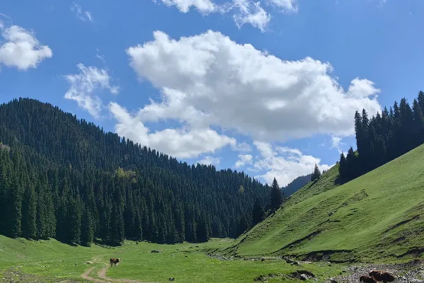 Shuimo River Scenic Area - Xinjiang Tourist Attraction