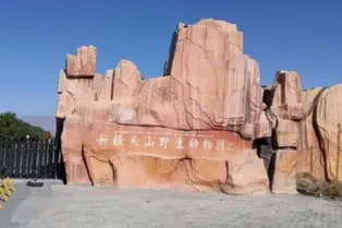 Tianshan Wildlife Park - Xinjiang Tourist Attraction