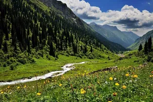 Gongnaisi National Forest Park