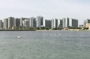 Korla Swan River Scenic Area - Xinjiang Tourist Attraction