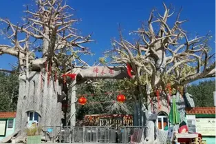 Tianshan Shenmu Garden - Xinjiang Tourist Attraction