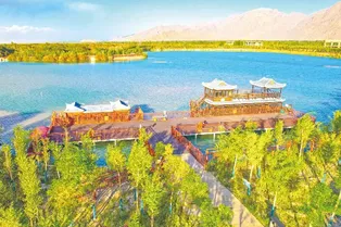 Sea Buckthorn Forest Wetland Tourist Scenic Area - Xinjiang Tourist Attraction