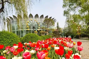 World Flower Grand View Garden - Beijing Tourist Attraction