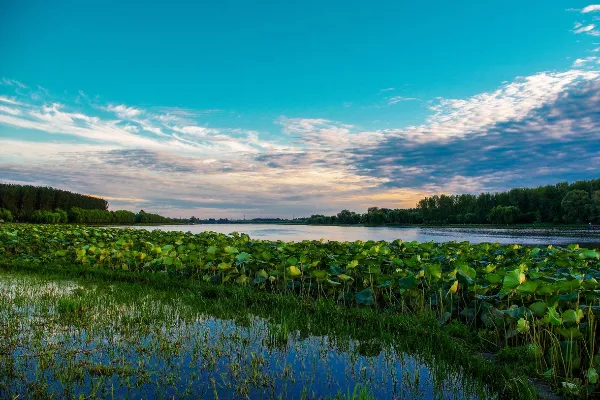 Tongzhou Grand Canal Forest Park - Beijing Tourist Attraction