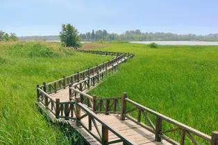 Wild Duck Lake National Wetland Park - Beijing Tourist Attraction