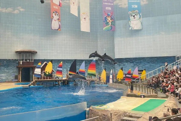 Tianjin Polar Ocean Park - Tianjin Tourist Attraction