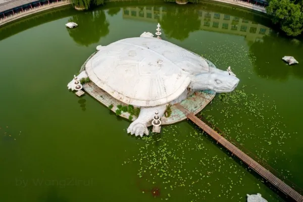Oriental Giant Turtle Garden