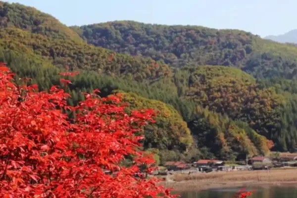 Qiushan Scenic Area - Hebei Tourist Attraction
