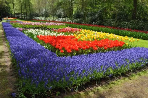 World Famous Flower Garden