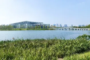 Shanghai Expo Culture Park - Shanghai Tourist Attraction