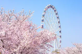 Gucun Park - Shanghai Tourist Attraction