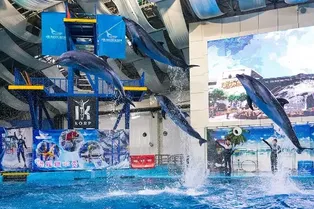 Hefei Ocean World - Anhui Tourist Attraction