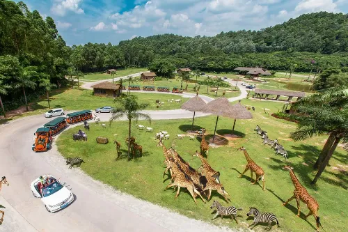 Chimelong Wildlife World