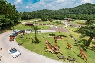 Chimelong Wildlife World
